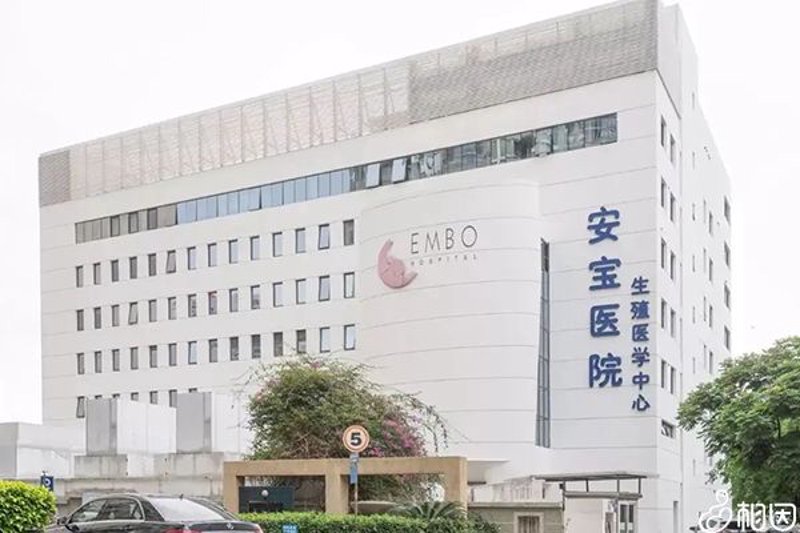 试管婴儿成功率:揭秘背后的秘密